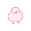 Um pato mastigável 21