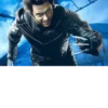 Wolverine 17