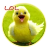 Magic Chicken! 16
