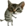Kittyset 18