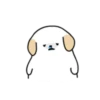 BOBA DOG 3 17