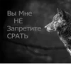 Согласны? Узнали? 14