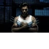 Wolverine 19