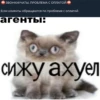 Yandex.Mood 17