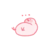 Um pato mastigável 24