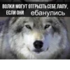 Согласны? Узнали? 16