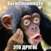 ЛиберастнR ( ) 23