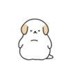 BOBA DOG 3 18