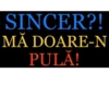 SINCER?! MĂ DOARE-N PULA!