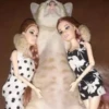 Kittyset 23