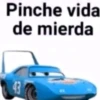 Pinche vida de mierda 43