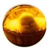 Magic Chicken! 21