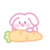 a dainty rabbit 21