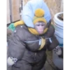 monkeys 22