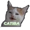 На Третіх сYтках 23