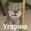 Voop_stic2 23