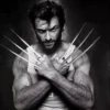 Wolverine 21