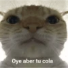 a ver tu cola 😎memes 15
