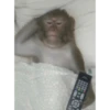 08000 0000