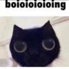 boioioioioing