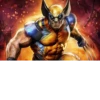 Wolverine 25