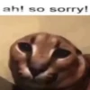 ah! so sorry!