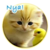 Magic Chicken! 27