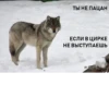 Согласны? Узнали? 21