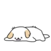 BOBA DOG 3 22