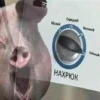 ЛиберастнR ( ) 27