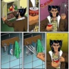Wolverine 27