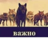 Согласны? Узнали? 23