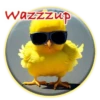 Magic Chicken! 28