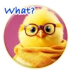 Magic Chicken! 29