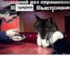 Согласны? Узнали? 25