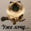 Voop_stic2 28