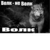 Согласны? Узнали? 26