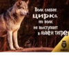 Согласны? Узнали? 30