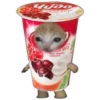 UwU 19