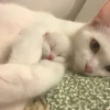 ૮꒰ྀི◞⸝⸝⸝◟꒱ྀིაㅤ ೀ кит1к 2