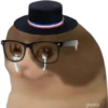 geysioy