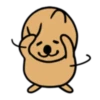 The world's happiest animal, Quka! 5
