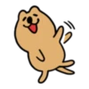 The world's happiest animal, Quka! 6