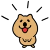 The world's happiest animal, Quka! 7