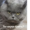 Создать стикеры| 7