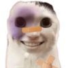 geys oy