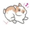 Quiet bunnies 7