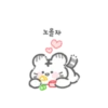 My cute white tiger. 5
