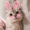 Котики by 7