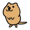 The world's happiest animal, Quka! 9